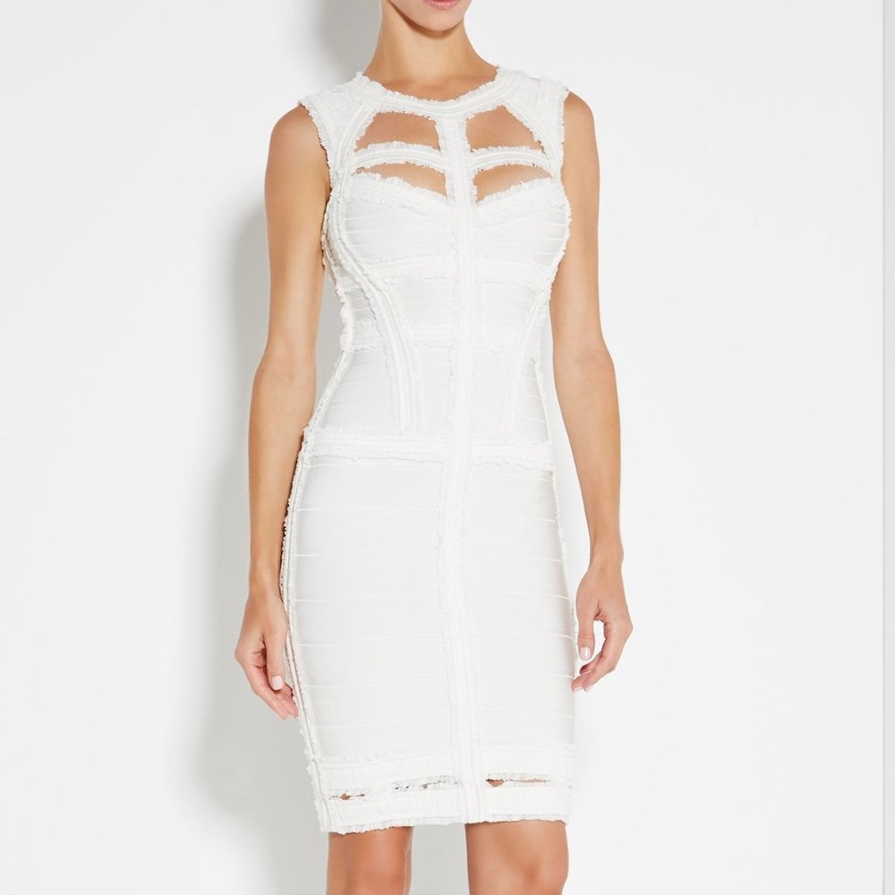 Hervé Leger Madyson Chiffon Detail Cocktail Dress!